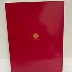 アショカ、ガンジー、ネルー展　カタログの画像
