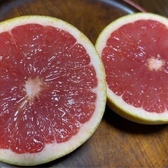 国産！！　ルビーグレープフルーツ　無農薬　約3.2kg  16個入り　②の画像