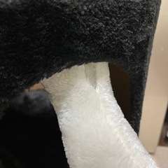 キャットタワー⭐︎ダチョウの画像