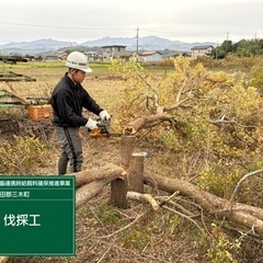 -庭木伐採・庭木抜根-