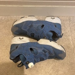 Reebok INSTAPUMP FURY SP リーボック ポンプ フューリーの画像