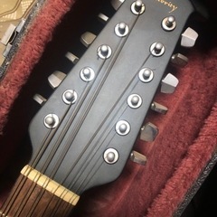 オベーション、セレブリティの12弦