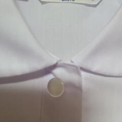 *小学校 ブラウス*の画像