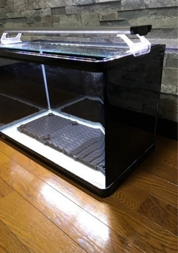 《 取引成立 》　GEX 前曲面ガラス水槽 60cm 三面ブラックフィルム ★ アクアリウム飼育セット