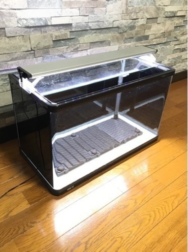 《 取引成立 》　GEX 前曲面ガラス水槽 60cm 三面ブラックフィルム ★ アクアリウム飼育セット