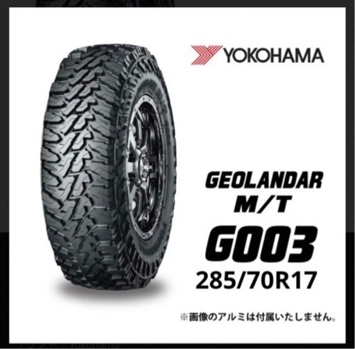 バークレイハードロック　リザード　ジオランダーmt