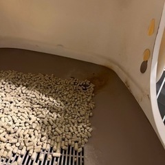 猫トイレの画像