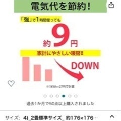 ホットカーペットの画像