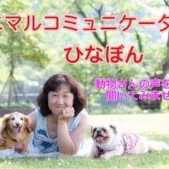 アニマルコミュニケーション入門講座【はじめの一歩】