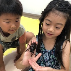 サタデースクール、キンダークラス　オープン！の画像