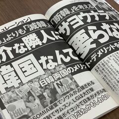 『週刊ポスト31号 韓国なんか要らない』の画像