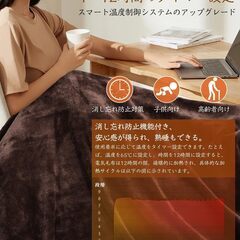 【新品未使用】電気毛布 肩掛け ひざ掛けの画像