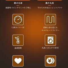 【新品未使用】電気毛布 肩掛け ひざ掛けの画像