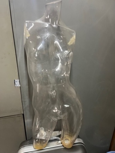 レディーストルソー 婦人トルソー スケルトン 透明 マネキン