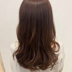 カットモデル