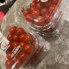 ミニトマト　4パック