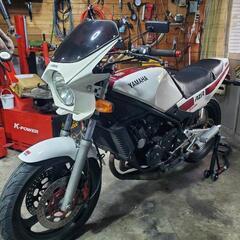 RZ250R！29L！