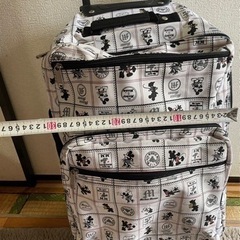 子供用キャリーバッグの画像