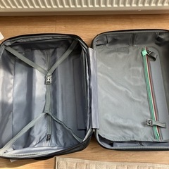キャリーバッグ キャリーケース の画像