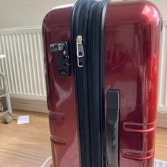 キャリーバッグ キャリーケース の画像