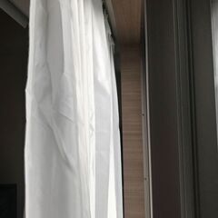 レースカーテン エコナチュレST（100×178cm×2枚）※同商品で別掲載品ありの画像