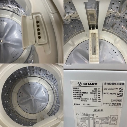 ⭐期間限定の特別値下げ！！I681 ? SHARP 洗濯機 （5.5㎏） ⭐動作確認済⭐クリーニング済