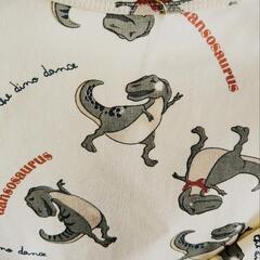 2枚パジャマ上下セット、恐竜柄、かわいい、キュート、安全高品質の画像