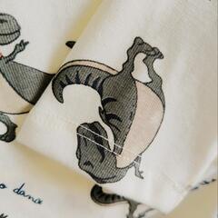 2枚パジャマ上下セット、恐竜柄、かわいい、キュート、安全高品質の画像