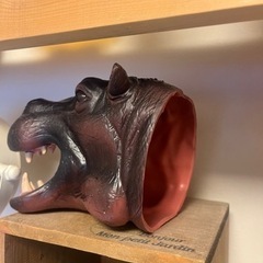 カバの画像
