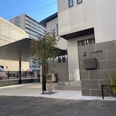 限定1名！！！　正社員募集！の画像