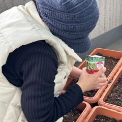家庭菜園してる方🌱