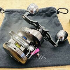 DAIWA SALTIGA BJ 200SHの画像