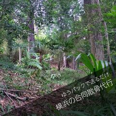 ゆうパックで送るだけ！！　横浜の山林合同散骨代行プラン