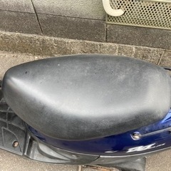 ベーシックジョグの画像