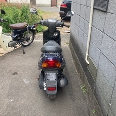 ベーシックジョグの画像