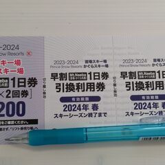 苗場スキー場 かぐらスキー場 1日券引換券 2枚
