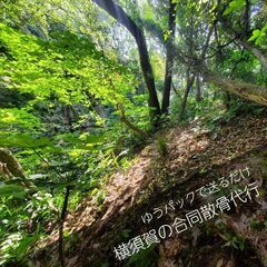  ゆうパックで送るだけ！！横須賀の山林合同散骨代行プラン