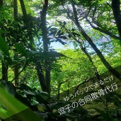 ゆうパックで送るだけ！！逗子の山林合同散骨代行プラン
