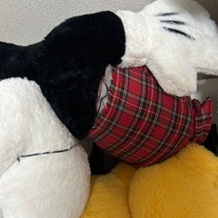 全長1メートル！大きなミッキーとミニーのぬいぐるみの画像