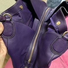 コーチホースアンドキャリッジ　イーディの画像