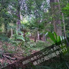 横浜の森で散骨セレモニーを委託！！写真で確認する個別散骨代行プラン
