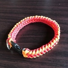 ペットの首輪•リードをオーダーで作ります！の画像