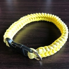 ペットの首輪•リードをオーダーで作ります！の画像