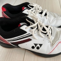 ヨネックスバドミントンシューズ25cmの画像