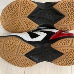 ヨネックスバドミントンシューズ25cmの画像