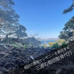 三浦の山で散骨セレモニーを！！写真で確認する個別散骨代行プラン
