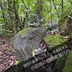  小田原の森で散骨セレモニーを！写真で確認する個別散骨代行プラン