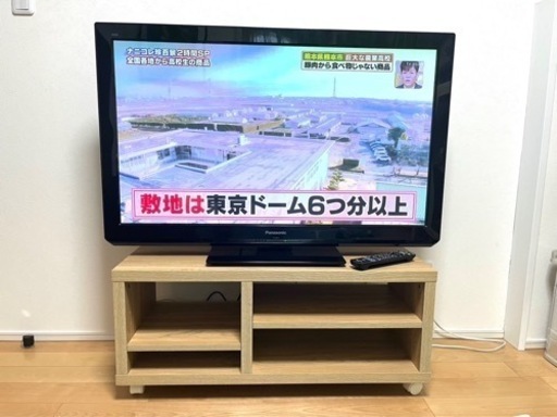 Panasonic パナソニック VIERA ビエラ 42型　TH-P42ST3 美品！