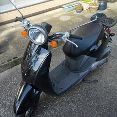 ホンダトゥデイ50cc