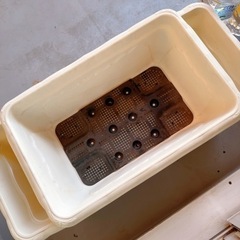 植木鉢セット.の画像